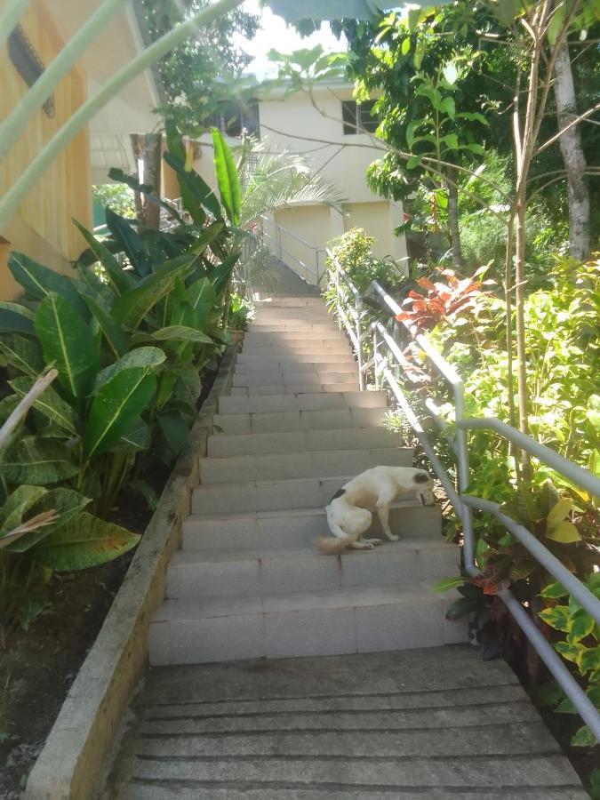 Woodland Inn El Nido Exterior photo